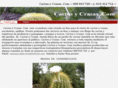 cactusycrasas.com