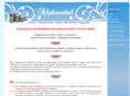 radiateurfonte.com