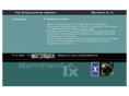 bixinternational.com