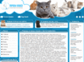 cats-exotic.ru