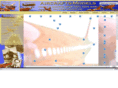 aircrafts-collections.com