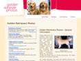 golden-retriever-photos.com