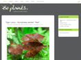 boplants.com