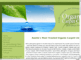 carpet-cleaning-austin.net