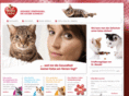 wahre-liebe-fuer-katzen.com