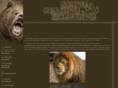 alins.ru