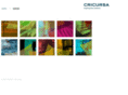 cricursa.com