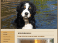kingijakamu.com
