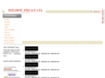 miguelteststore.com