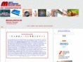 basalinsulin.info