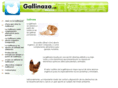 gallinaza.com