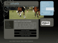 polonetworks.com