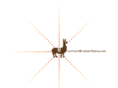 radiantllama.com