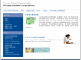 cursoexcelavanzado.com
