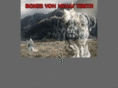 boxer-von-minas-tirith.com