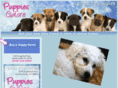 puppiesgalorega.com