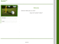 swingfuel.com