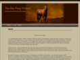 warponyproject.com