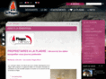 plagnerenov.com