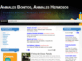 animalesok.com