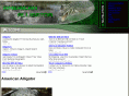 american-alligator.com