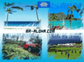 mr-aloha.com