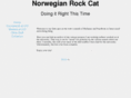 norwegianrockcat.com