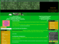 asce-foot.net