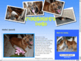 margaretsdogs.org