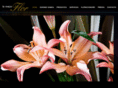 lamejorflor.com