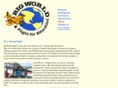 bigworldflight.org