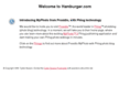 hamburger.com