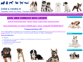 chiots-a-vendre.net