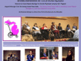 mswheelchairmichigan.com
