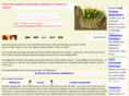 femmes-celibataires.com