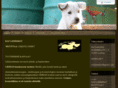 raflemmikit.com