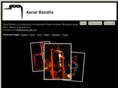 aerialbandits.com