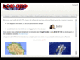 lok-oto.com