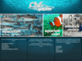 chf-aquarium.com