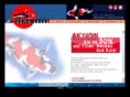 koi-diamond.com