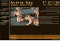 avivia-raz.com