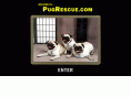 pugrescue.com