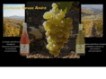 sancerre-andreneveu.com