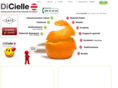 dicielle.com