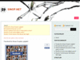 sinop.net
