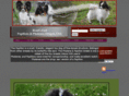 roadsendpapillons.com