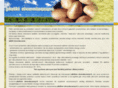 platkiziemniaczane.com