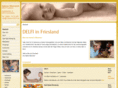 friesland-delfi.de