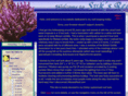 suksreef.com