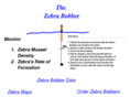 zebrabobber.com